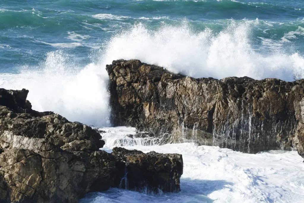 Parque Natural de Sintra-Cascais, entre floresta mágica e falésias