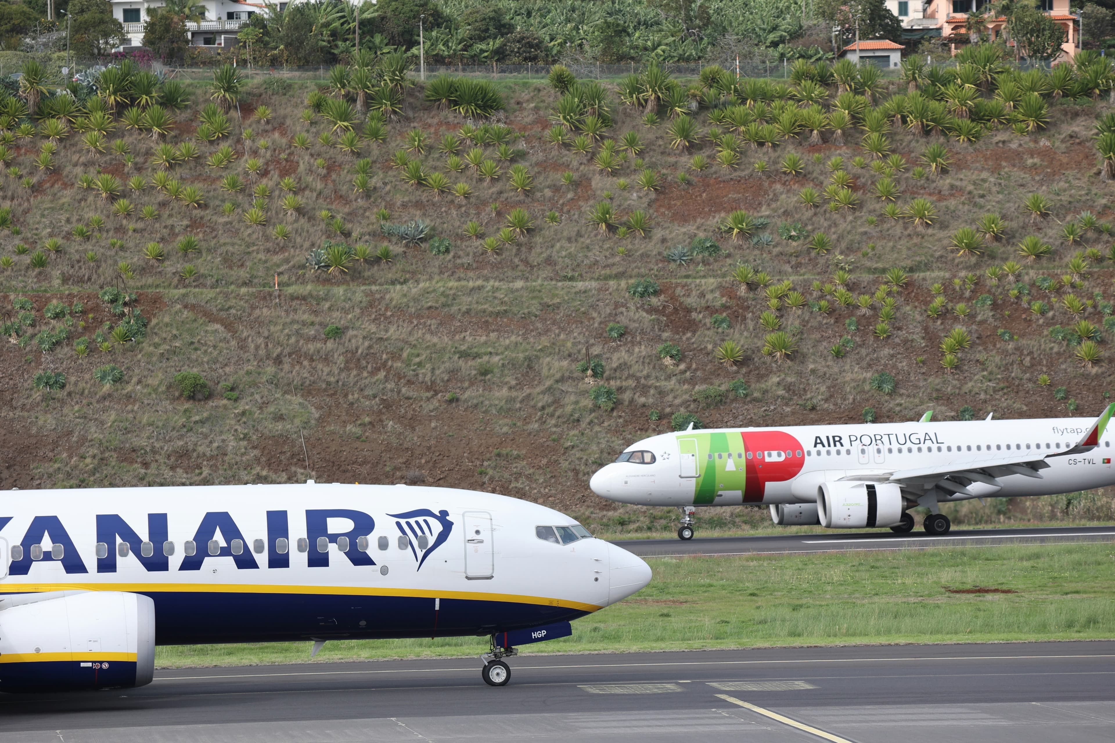 TAP Air Portugal, companhia nacional  entre tradição e modernidade