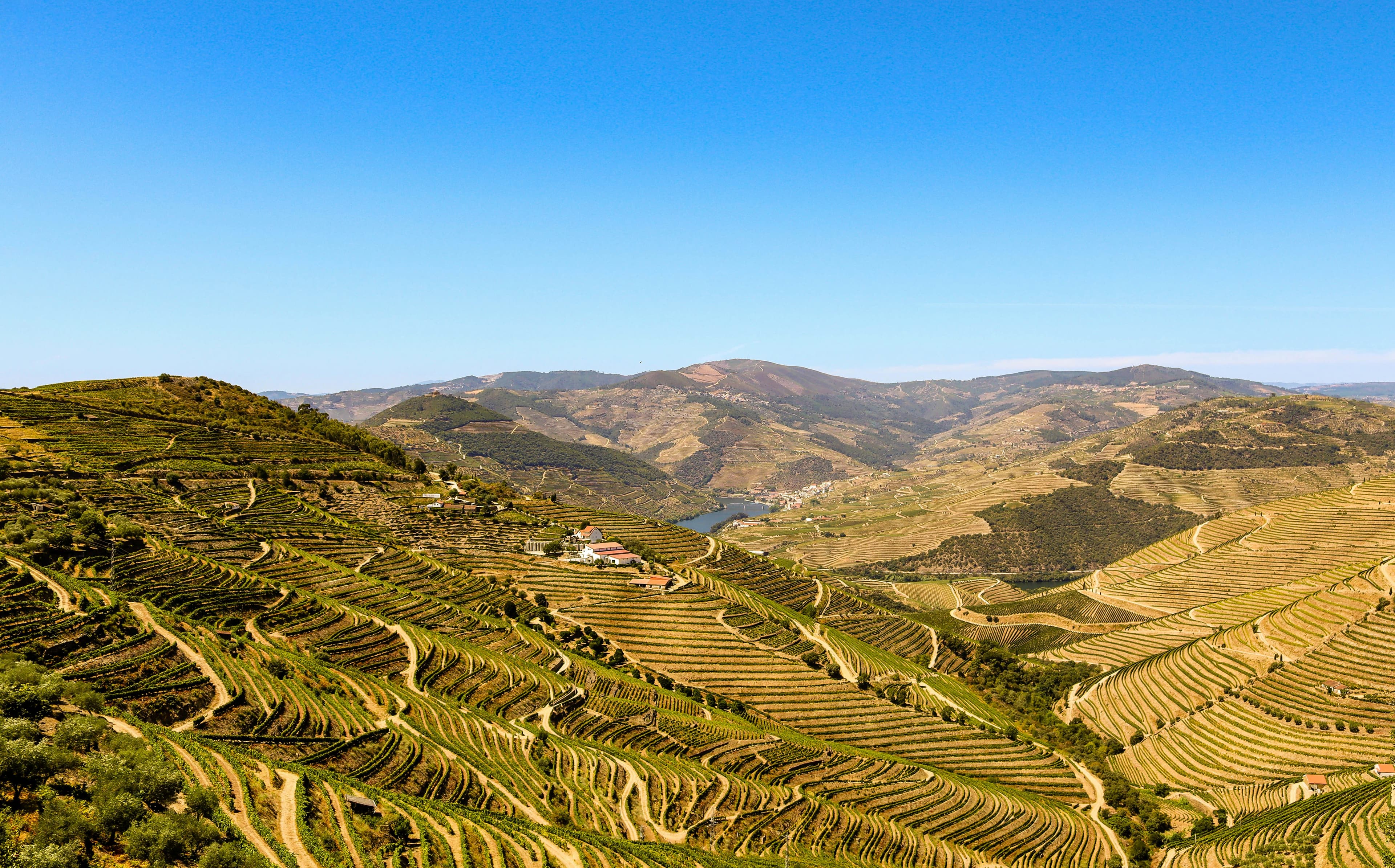 Vale do Douro, paisagens classificadas pela UNESCO
